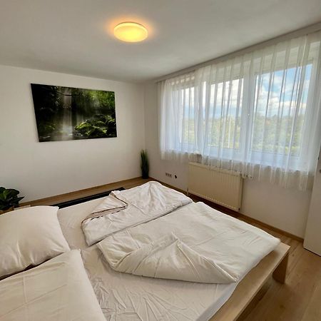 Atemberaubendes Apartment + Pool Wiedeń Zewnętrze zdjęcie